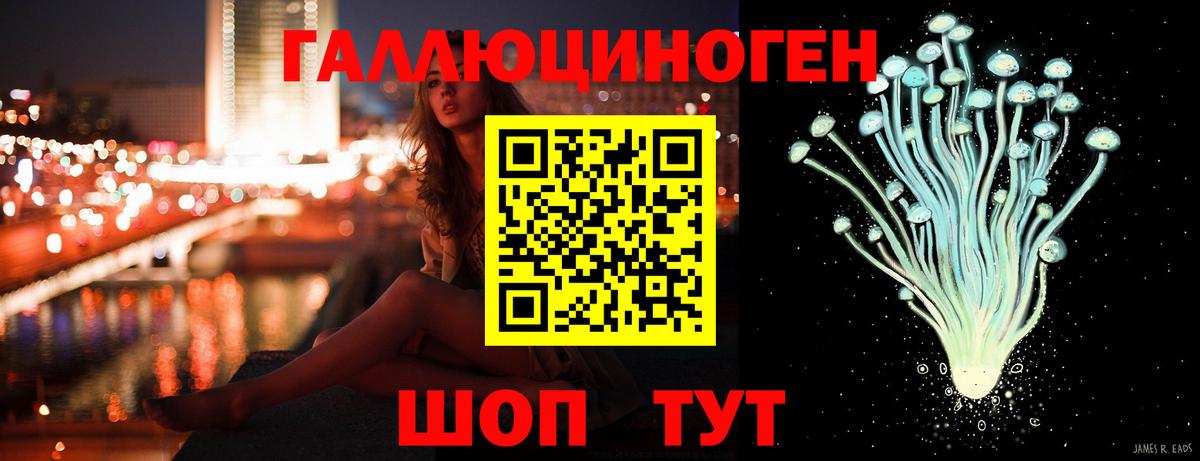 Псилоцибиновые грибы Psilocybe  Вход с VPN  Алапаевск 